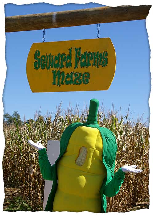 Seward Farms Corn Maze Farm and Market is a great place for family fun!