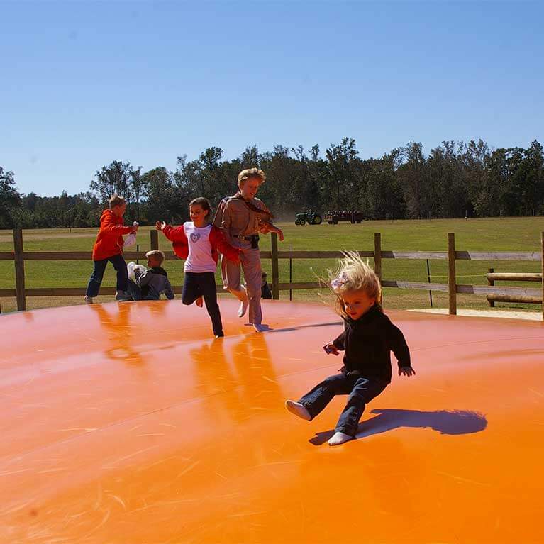 Jump around on this giant jumping pillow at Seward Farms Corn Maze.