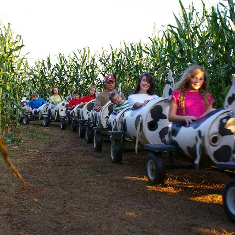 Take a ride on our cow train and tons of other fun activities at Seward Farms.