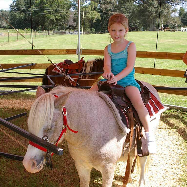 Take a spin on our pony rides at Seward Farms in Lucedale, MS.