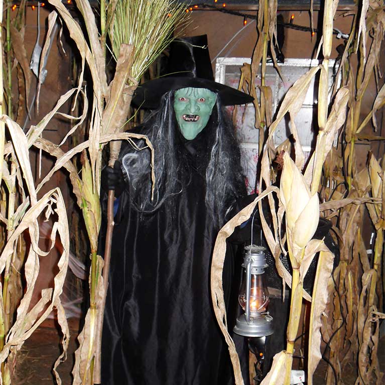 Brave our haunted corn maze and wagon ride this Halloween Season!